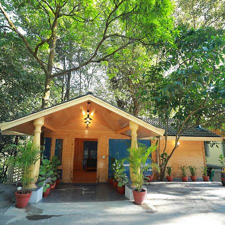 Coorg Coffee Bean Resort Madikeri Zewnętrze zdjęcie